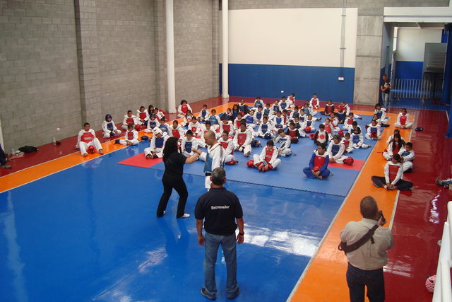 FUERZAS BASICAS 1
